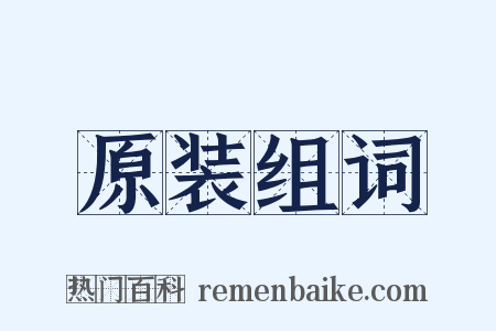 原装组词是什么意思的图片